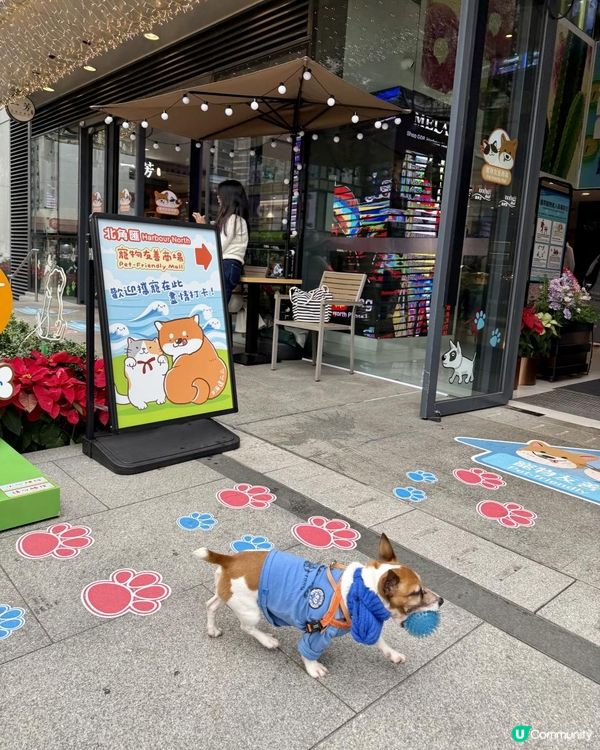 超長維港海濱長廊放電一日遊