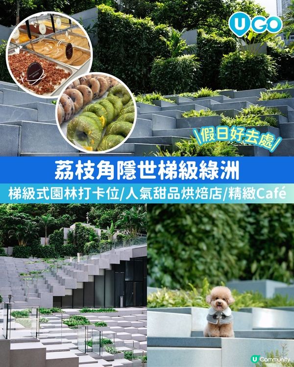 【荔枝角隱世梯級綠洲🌳】