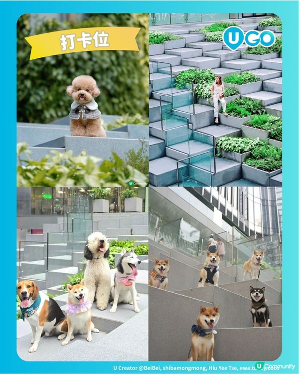 【荔枝角隱世梯級綠洲🌳】