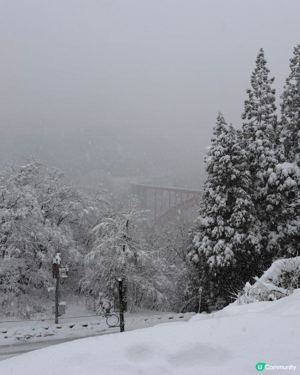 🇯🇵秘境！！雪國打卡必去地❄️  