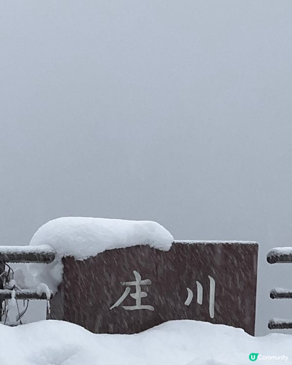 🇯🇵秘境！！雪國打卡必去地❄️  