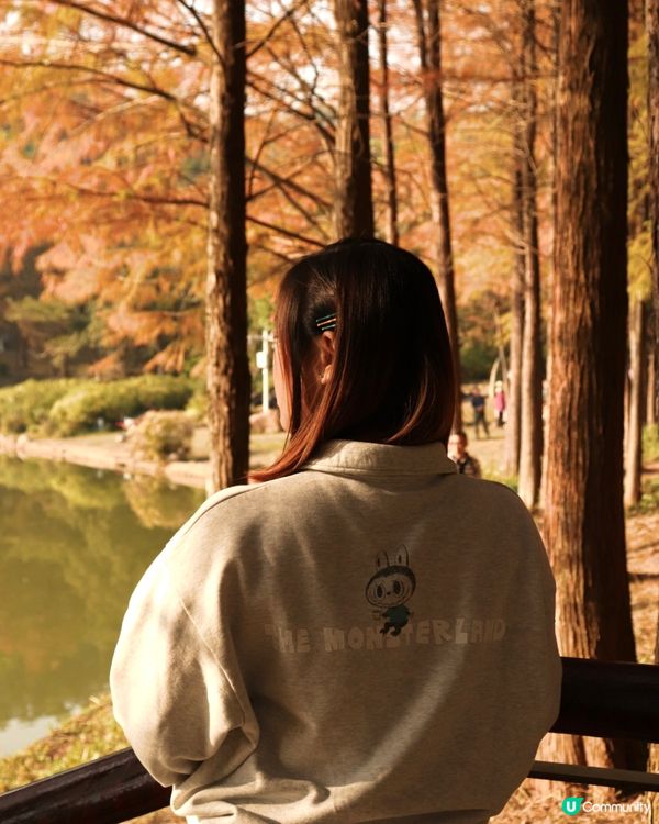 深圳最靚落羽杉打卡點！兩個湖邊影相位逐個睇