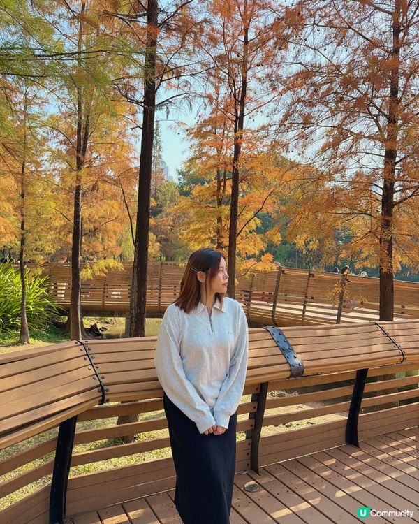 深圳最靚落羽杉打卡點！兩個湖邊影相位逐個睇