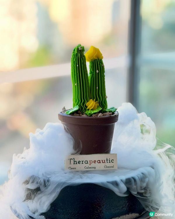 獅房菜下午茶 🍵✨滋養身心靈