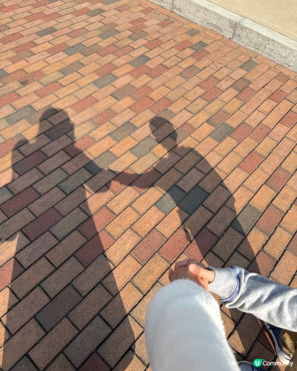 珍惜還會和我手牽手一齊去迪士尼拍拖嘅日子