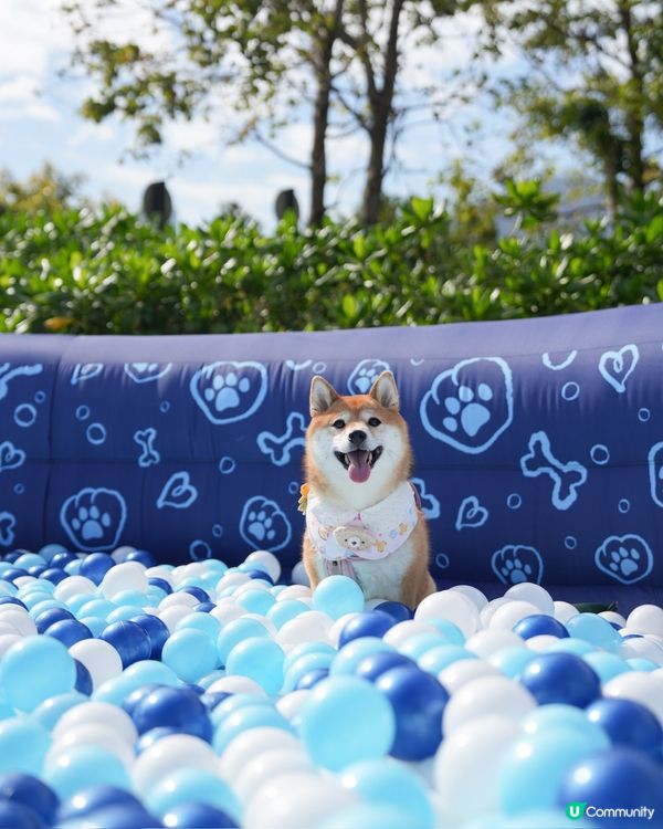 為左巨大波波池而去💕