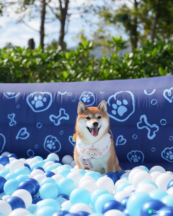 為左巨大波波池而去💕