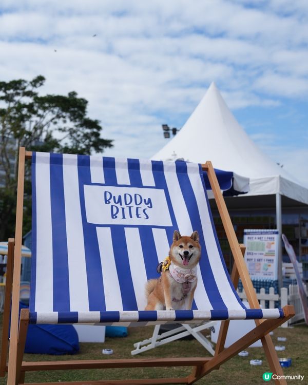 為左巨大波波池而去💕