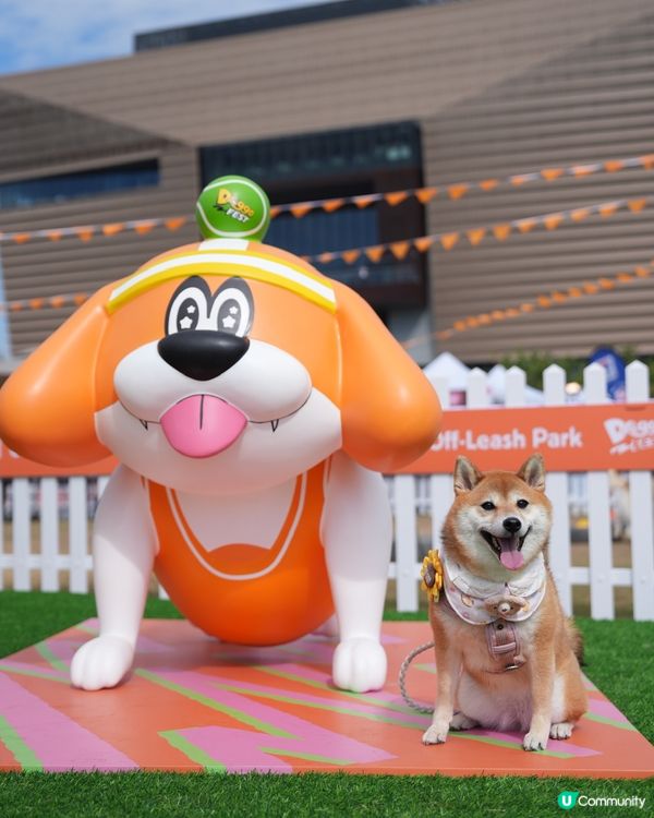 為左巨大波波池而去💕