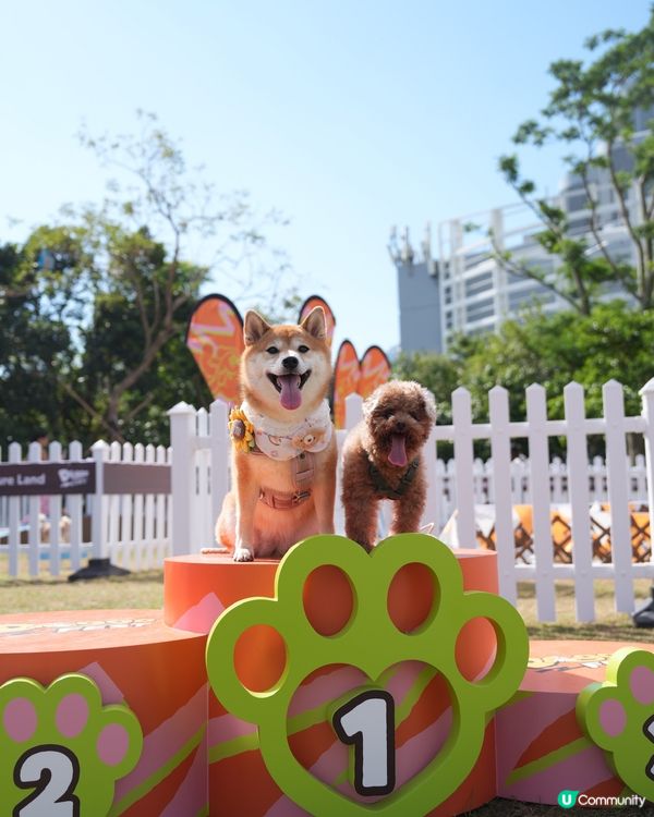 為左巨大波波池而去💕