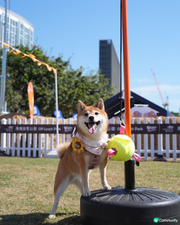 為左巨大波波池而去💕