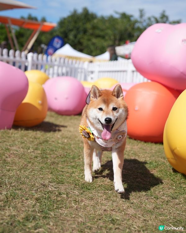 為左巨大波波池而去💕