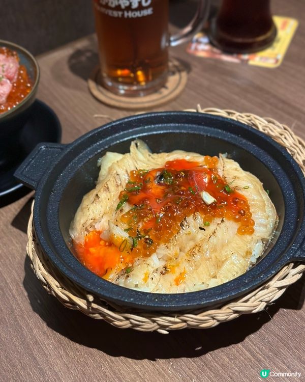 爆紅慶祝免費畫碟服務🥳