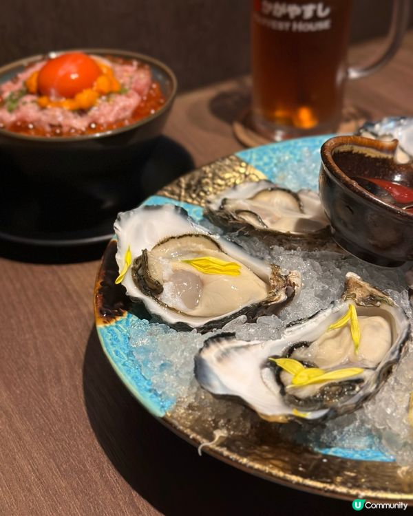 爆紅慶祝免費畫碟服務🥳