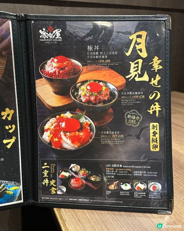 爆紅慶祝免費畫碟服務🥳