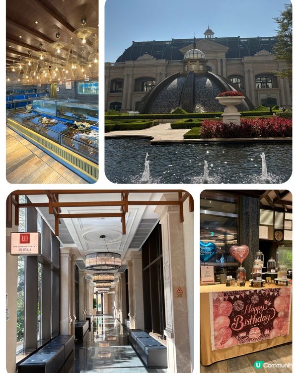 澳門自助山！🤤 種類多到數唔晒！