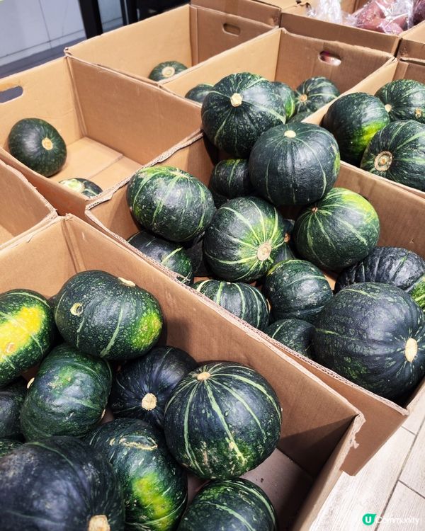 一田南瓜優惠！$23.9 靚南瓜攻略 🎃✨