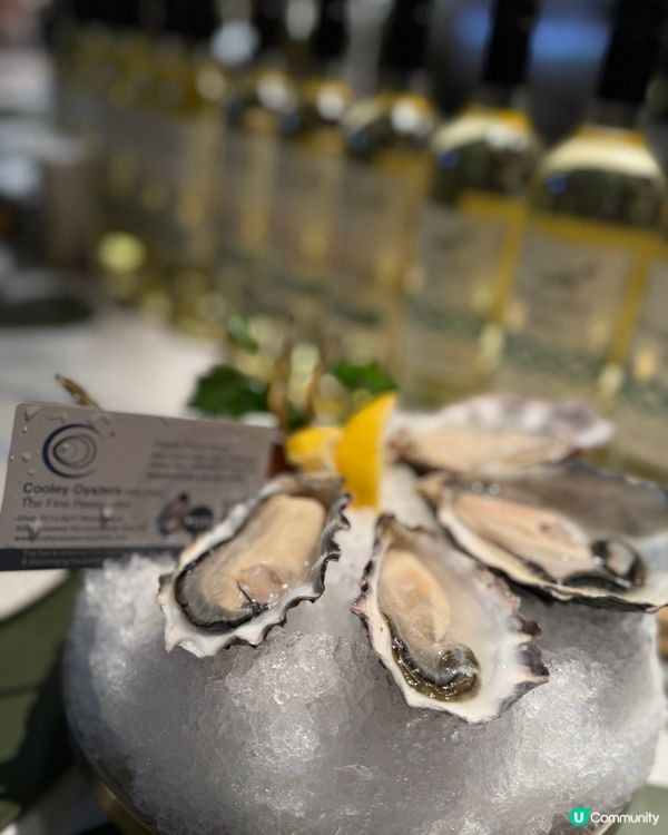 銅鑼灣新晉生蠔天堂🦪✨