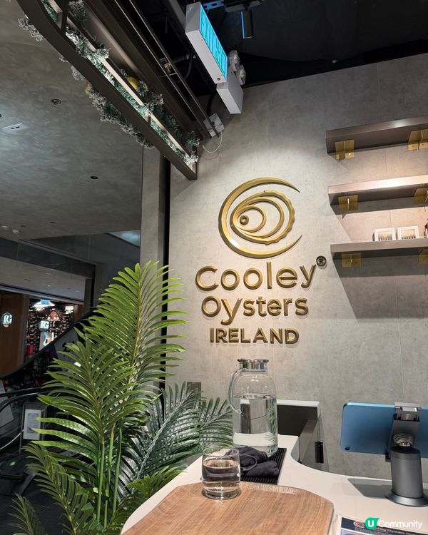 銅鑼灣新晉生蠔天堂🦪✨