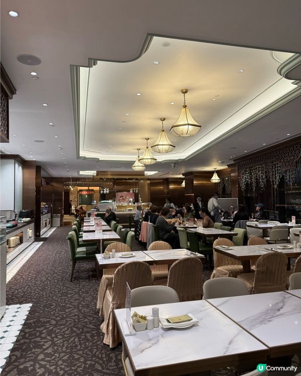 灣仔⭐️自助餐擦餐勁！龍蝦鮑魚片皮鵝！🦞🔥