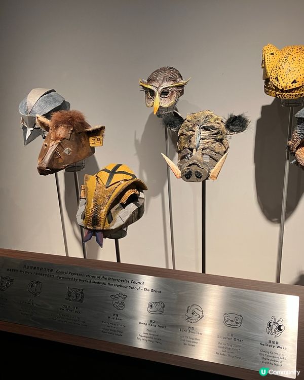 啟德的動物展覽 