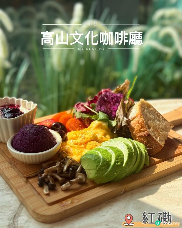 高山文化咖啡廳☕️