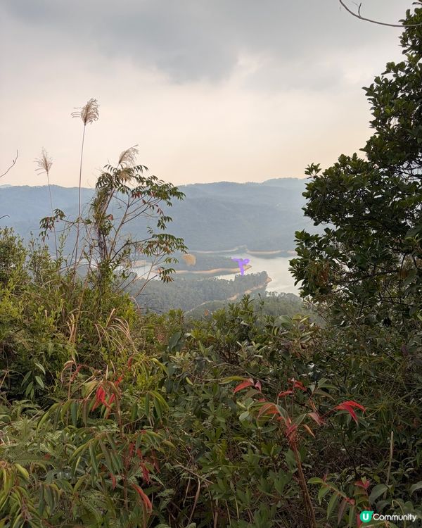 【冬季行山】又再有「遊越過高山又越過谷」嘅感覺
