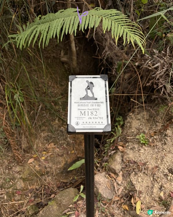 【冬季行山】又再有「遊越過高山又越過谷」嘅感覺