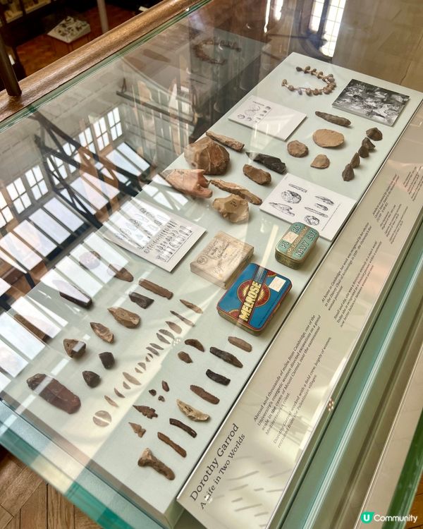 『英國』劍橋免費博物館｜考古學與人類學博物館
