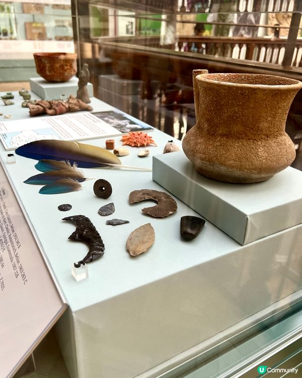 『英國』劍橋免費博物館｜考古學與人類學博物館