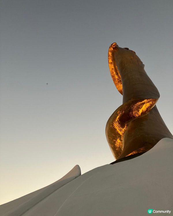 沿岸觀音打卡位！📸✨