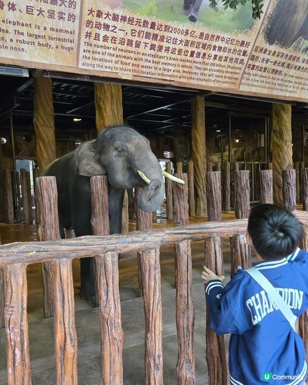 長鹿玩盡一日！🥕👨‍👩‍👧‍👦