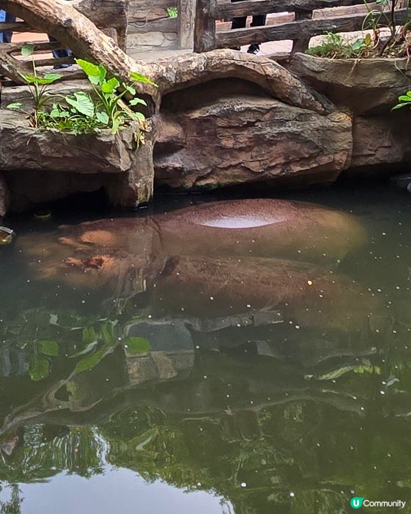 長鹿玩盡一日！🥕👨‍👩‍👧‍👦
