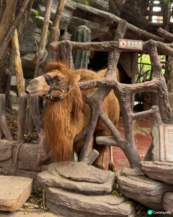 長鹿玩盡一日！🥕👨‍👩‍👧‍👦