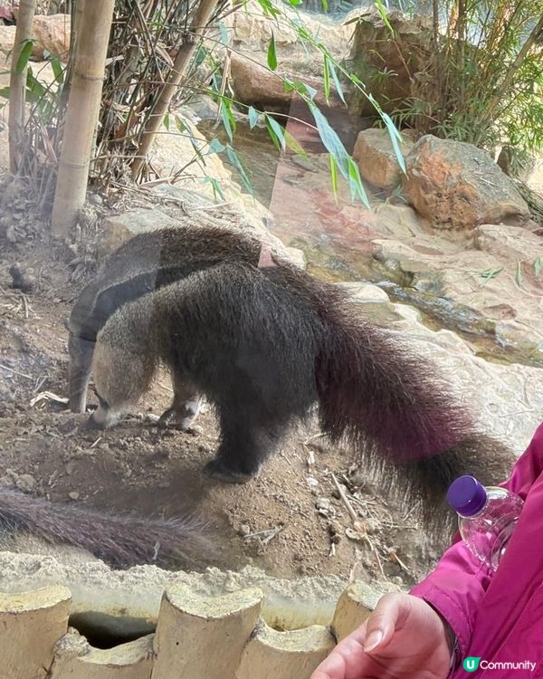 長鹿玩盡一日！🥕👨‍👩‍👧‍👦