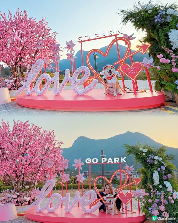 必去😍西沙Go Park🌸新春浪漫打卡位