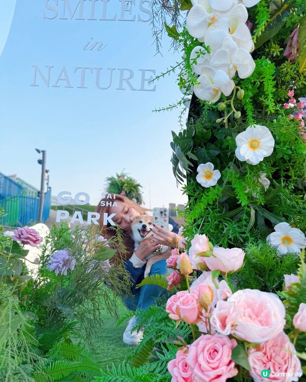 必去😍西沙Go Park🌸新春浪漫打卡位