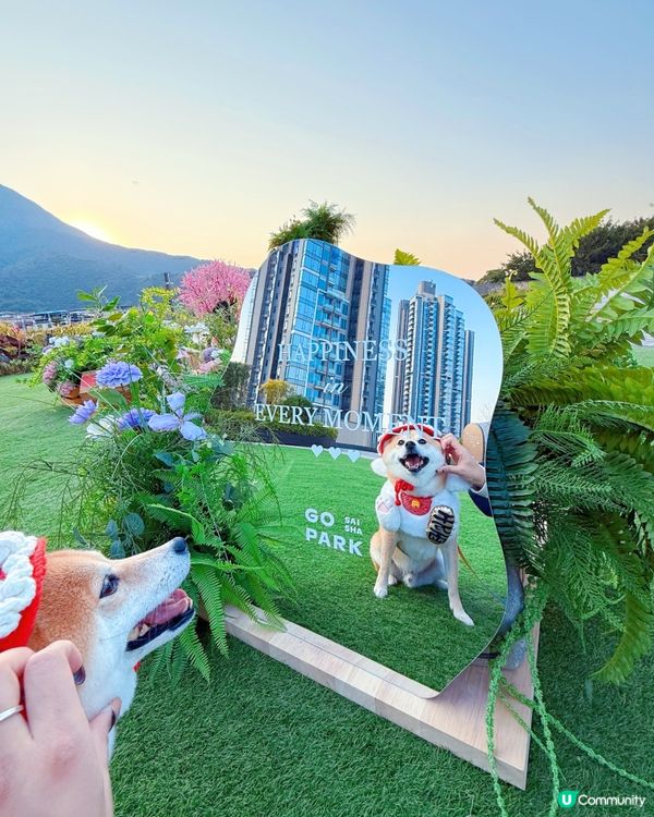 必去😍西沙Go Park🌸新春浪漫打卡位