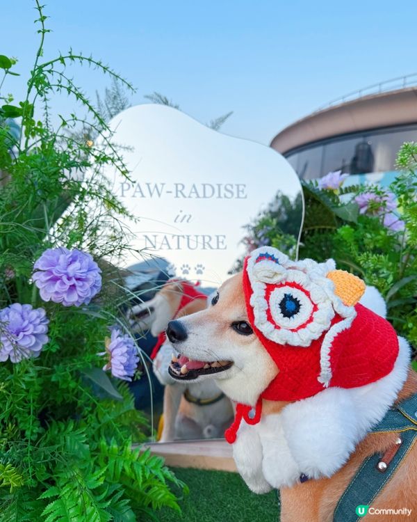 必去😍西沙Go Park🌸新春浪漫打卡位