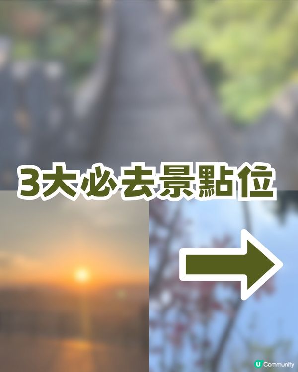 深圳隱藏小長城！山頂日落打卡超靚+2月櫻花展