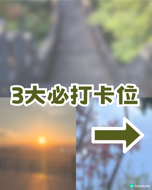 深圳隱藏小長城！山頂日落打卡超靚+2月櫻花展