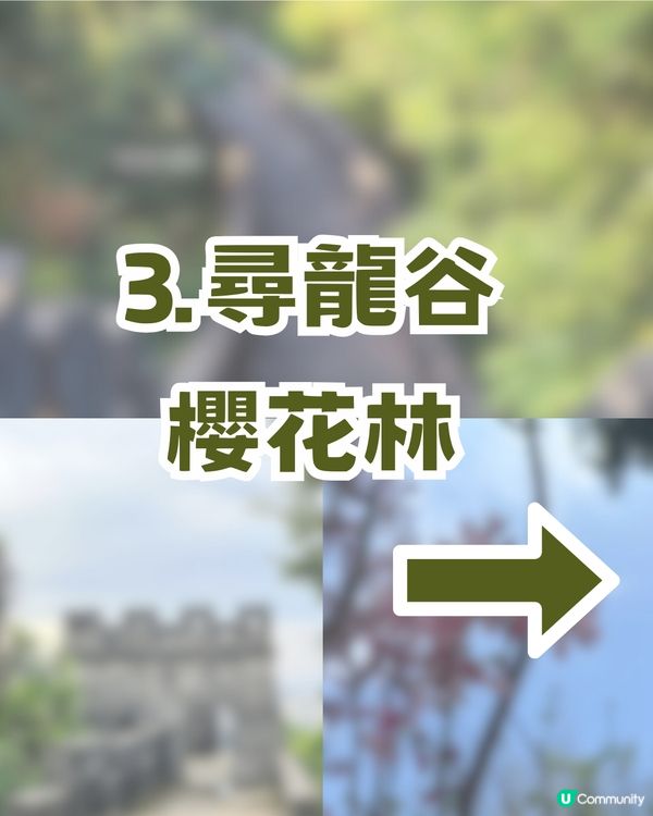 深圳隱藏小長城！山頂日落打卡超靚+2月櫻花展