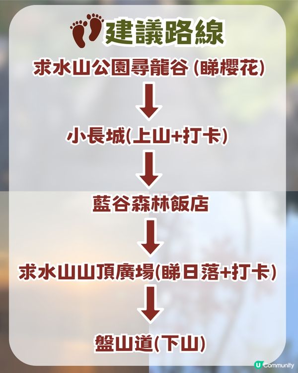 深圳隱藏小長城！山頂日落打卡超靚+2月櫻花展