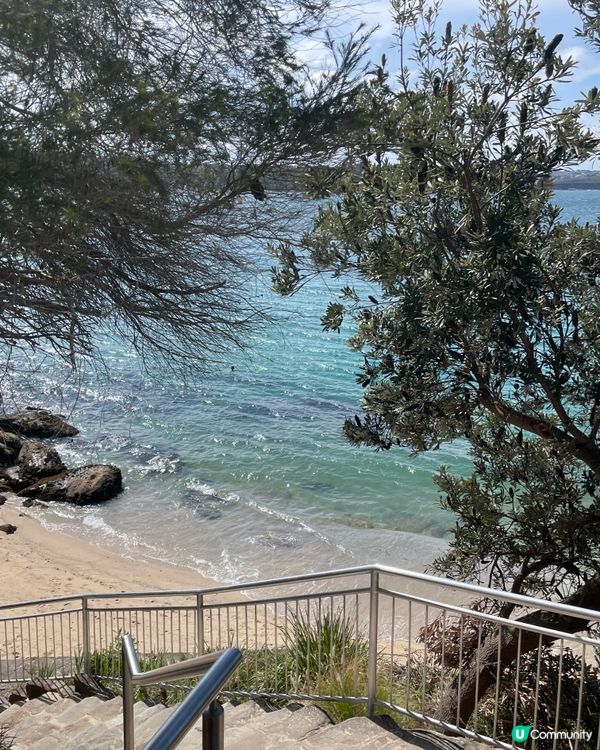 悉尼靚景步道☀️🌊🚶‍♀️