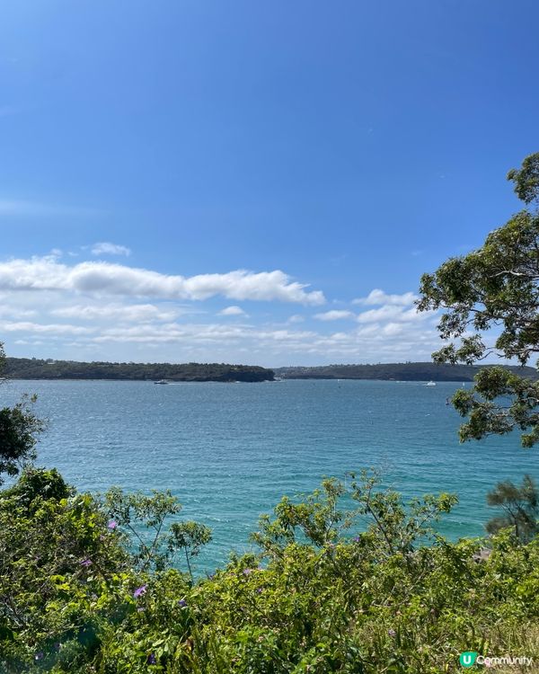 悉尼靚景步道☀️🌊🚶‍♀️