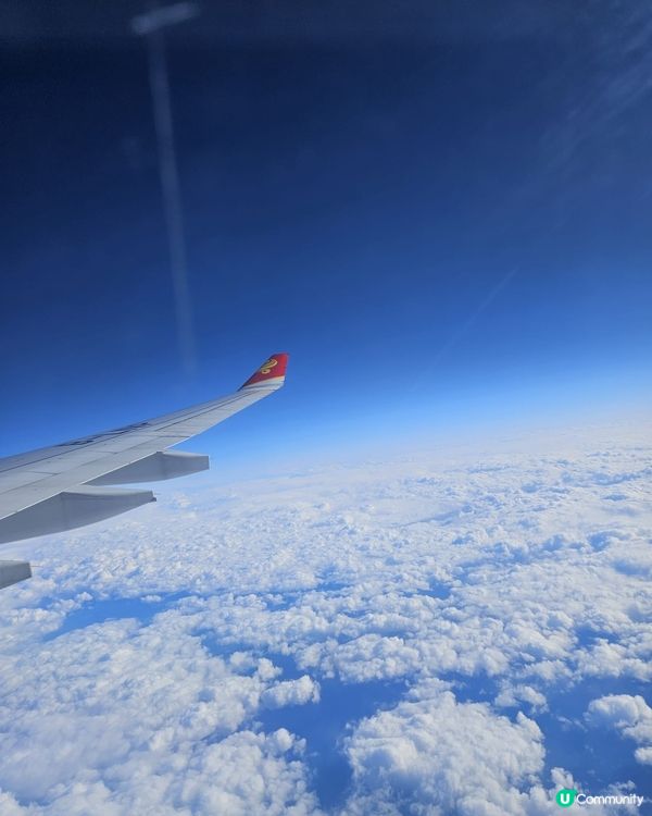 北海道雪蟹🦀平過香港？😋