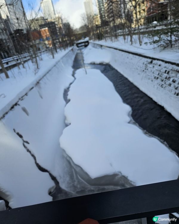 日本北海道 大風雪食鱈場蟹 (Tarabagani / たら