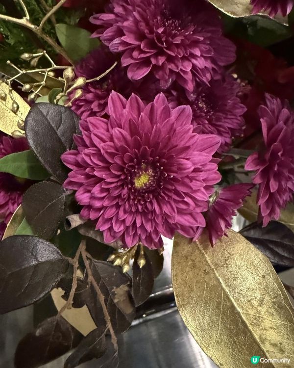 🌺🌺Happy New Year 2026 🌺🌺