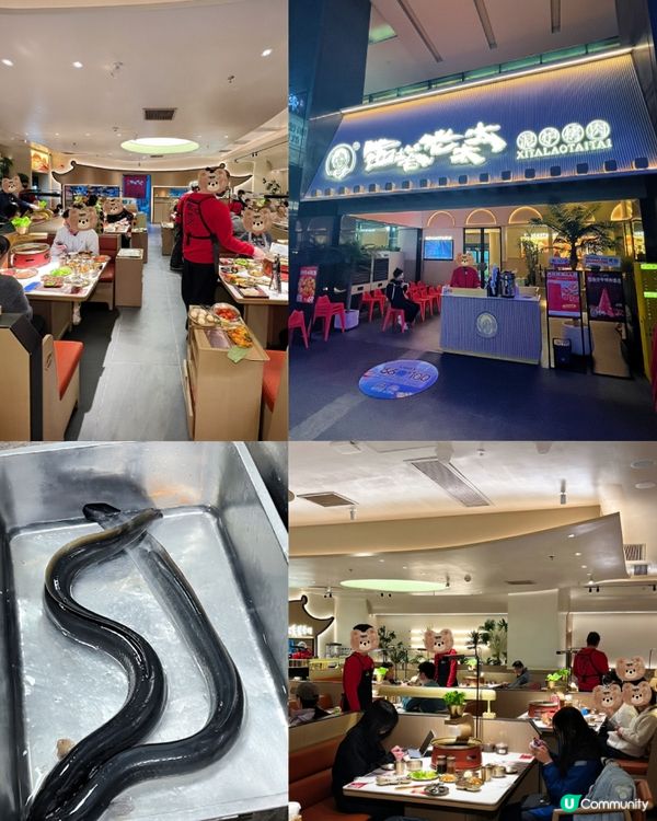 福田口岸到崗廈 - 朝鮮族泥爐烤肉正宗好滋味