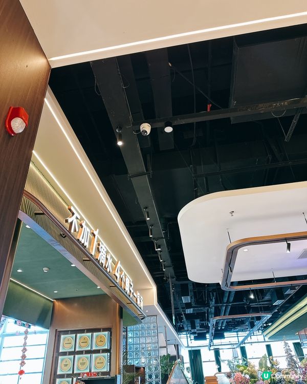 打邊爐新選擇！深圳椰子雞＋煲仔飯＋前菜bar超滿足 😍